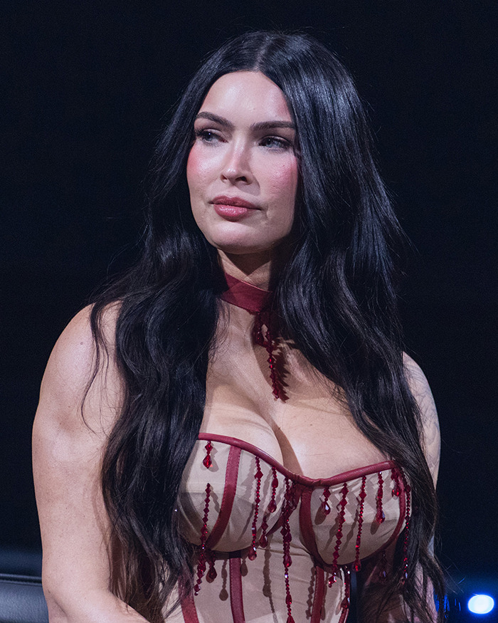 Megan Fox Sparks Plastic Surgery Speculation After Latest Red Carpet Appearance Megan Fox Sparks Plastic Surgery Speculation After Latest Red Carpet Appearance