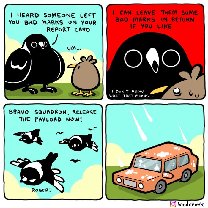 20 New Bird Comics That Find Humor And Absurdity In Little Daily Things, By This Artist 20 New Bird Comics That Find Humor And Absurdity In Little Daily Things, By This Artist