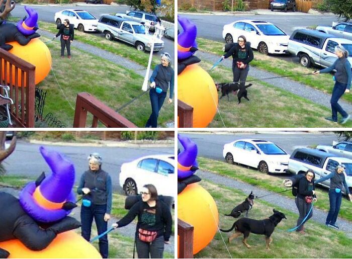 106 Halloween Fails That Put A Damper On The Spookiest Day Of The Year 106 Halloween Fails That Put A Damper On The Spookiest Day Of The Year