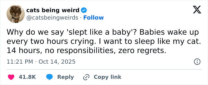 “Netflix Gotta Add A Comment Section”: 103 October Tweets That Had No Business Being This Hilarious “Netflix Gotta Add A Comment Section”: 103 October Tweets That Had No Business Being This Hilarious