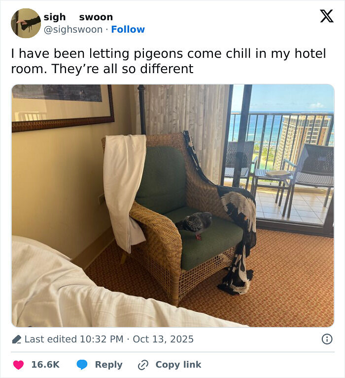 “Netflix Gotta Add A Comment Section”: 103 October Tweets That Had No Business Being This Hilarious “Netflix Gotta Add A Comment Section”: 103 October Tweets That Had No Business Being This Hilarious