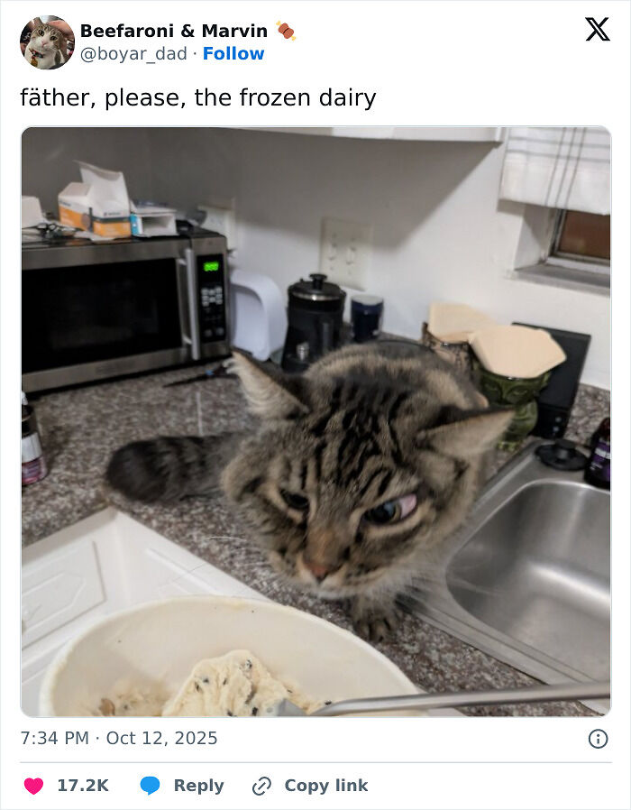 “Netflix Gotta Add A Comment Section”: 103 October Tweets That Had No Business Being This Hilarious “Netflix Gotta Add A Comment Section”: 103 October Tweets That Had No Business Being This Hilarious