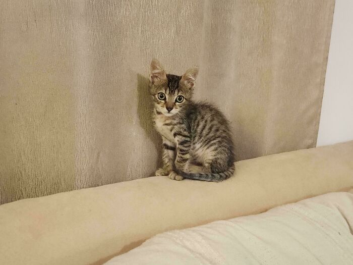 87 Soul-Soothing Photos Of Adopted Pets To Bring The Instant Warm Fuzzies (October Edition) 87 Soul-Soothing Photos Of Adopted Pets To Bring The Instant Warm Fuzzies (October Edition)