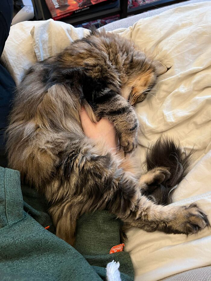 87 Soul-Soothing Photos Of Adopted Pets To Bring The Instant Warm Fuzzies (October Edition) 87 Soul-Soothing Photos Of Adopted Pets To Bring The Instant Warm Fuzzies (October Edition)