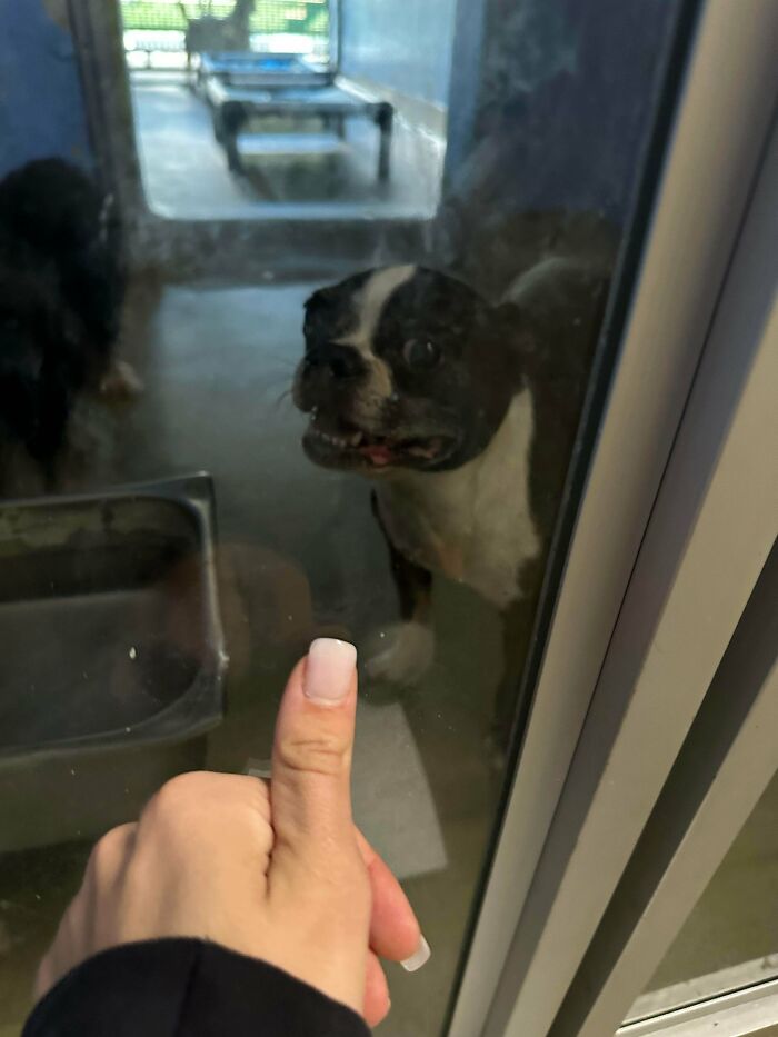 87 Soul-Soothing Photos Of Adopted Pets To Bring The Instant Warm Fuzzies (October Edition) 87 Soul-Soothing Photos Of Adopted Pets To Bring The Instant Warm Fuzzies (October Edition)