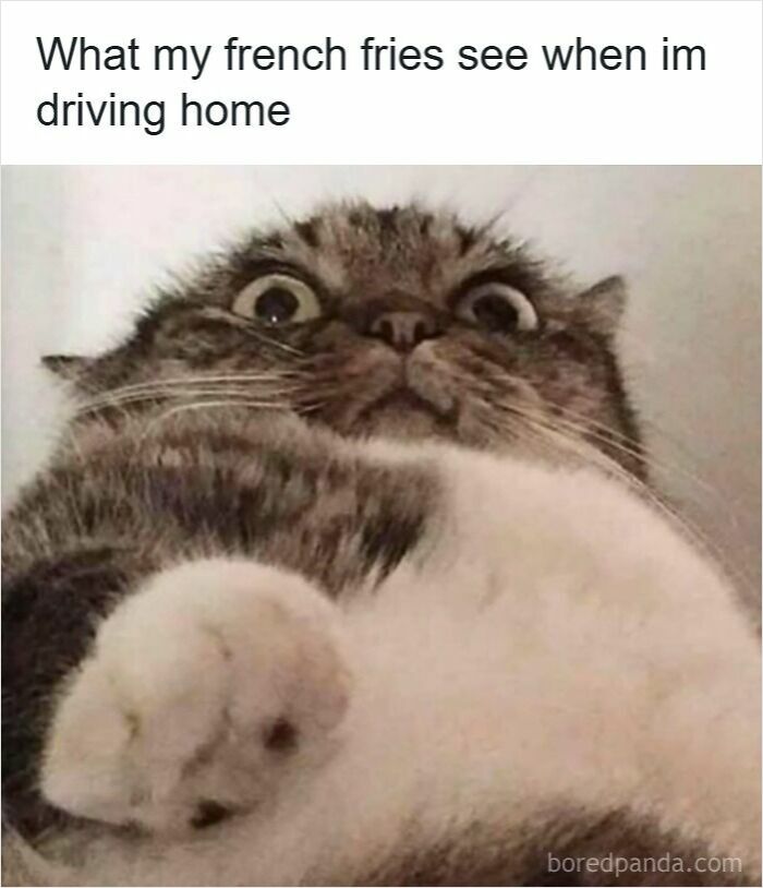 83 Hilarious Driving Memes That Explain Why Road Rage Exists 83 Hilarious Driving Memes That Explain Why Road Rage Exists