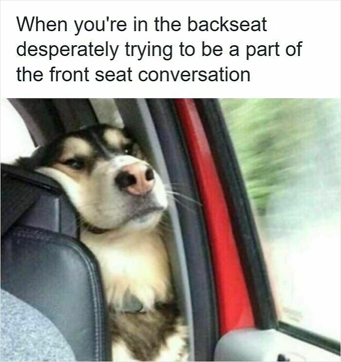 83 Hilarious Driving Memes That Explain Why Road Rage Exists 83 Hilarious Driving Memes That Explain Why Road Rage Exists