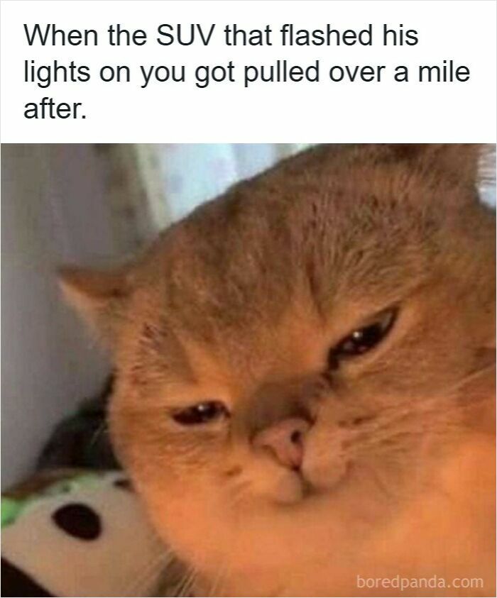 83 Hilarious Driving Memes That Explain Why Road Rage Exists 83 Hilarious Driving Memes That Explain Why Road Rage Exists