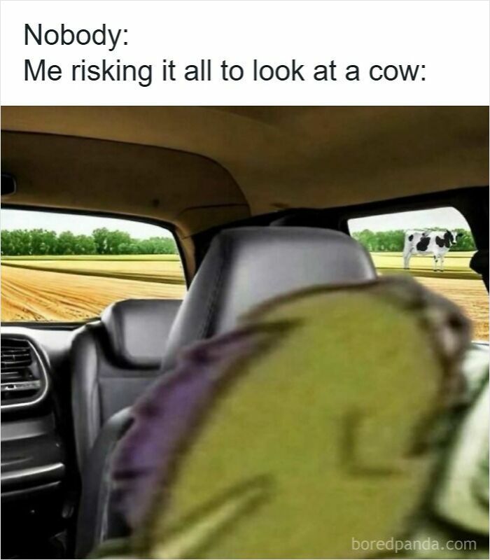 83 Hilarious Driving Memes That Explain Why Road Rage Exists 83 Hilarious Driving Memes That Explain Why Road Rage Exists