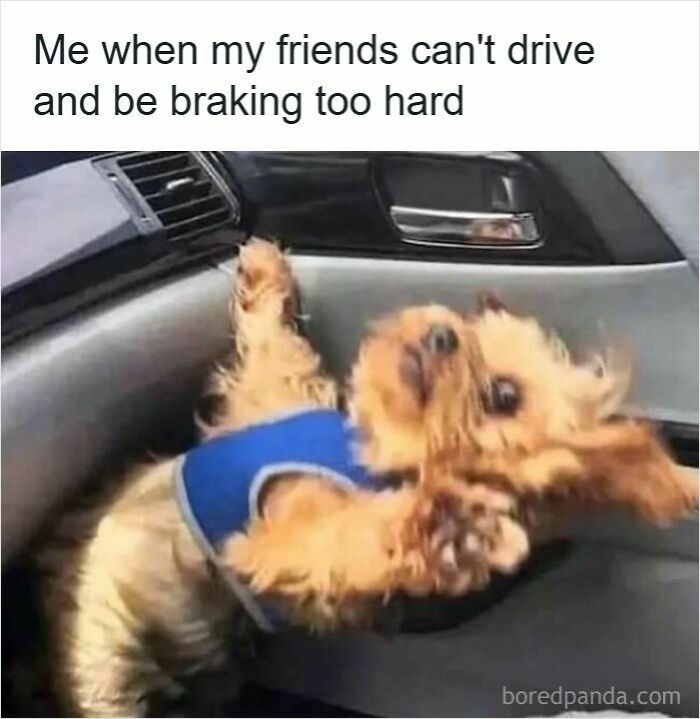 83 Hilarious Driving Memes That Explain Why Road Rage Exists 83 Hilarious Driving Memes That Explain Why Road Rage Exists