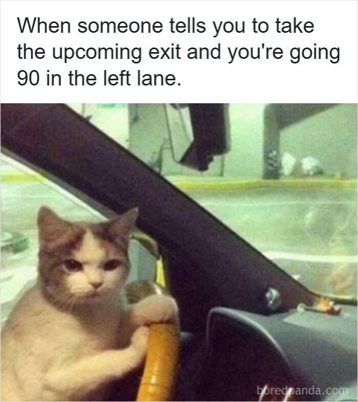 83 Hilarious Driving Memes That Explain Why Road Rage Exists 83 Hilarious Driving Memes That Explain Why Road Rage Exists