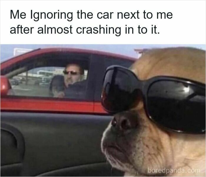 83 Hilarious Driving Memes That Explain Why Road Rage Exists 83 Hilarious Driving Memes That Explain Why Road Rage Exists