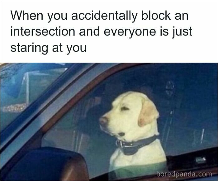 83 Hilarious Driving Memes That Explain Why Road Rage Exists 83 Hilarious Driving Memes That Explain Why Road Rage Exists