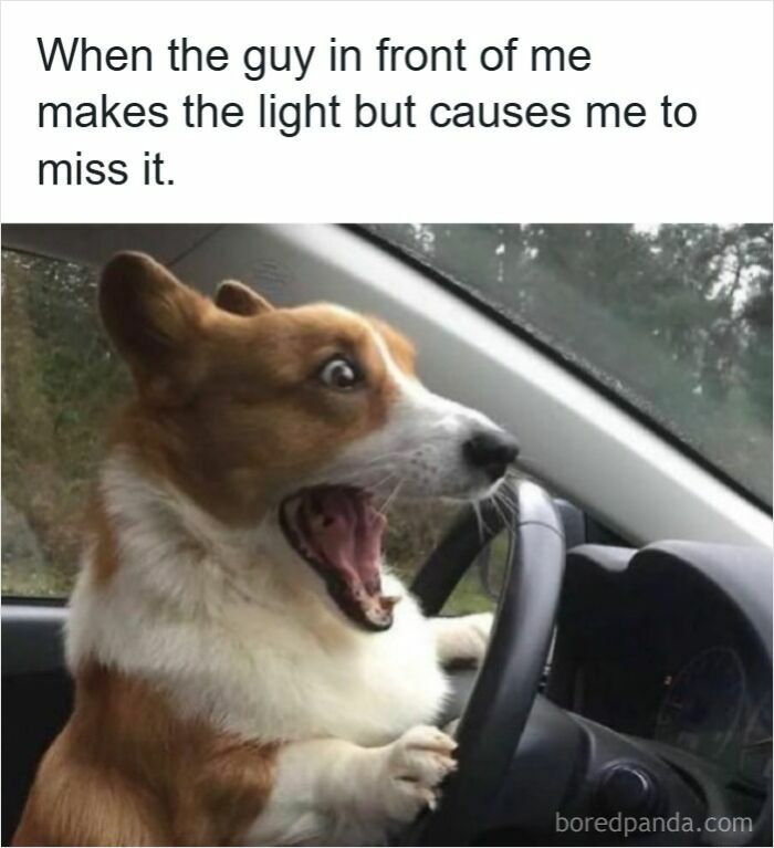 83 Hilarious Driving Memes That Explain Why Road Rage Exists 83 Hilarious Driving Memes That Explain Why Road Rage Exists