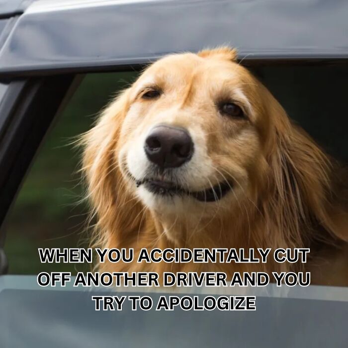 83 Hilarious Driving Memes That Explain Why Road Rage Exists 83 Hilarious Driving Memes That Explain Why Road Rage Exists