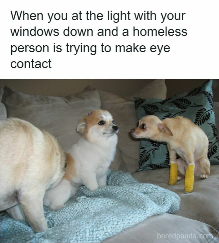 83 Hilarious Driving Memes That Explain Why Road Rage Exists 83 Hilarious Driving Memes That Explain Why Road Rage Exists