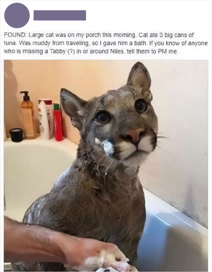 “Hol’Up, Wait A Minute!”: 70 Posts That Go From 0 To 100 Real Quick (New Pics) “Hol’Up, Wait A Minute!”: 70 Posts That Go From 0 To 100 Real Quick (New Pics)