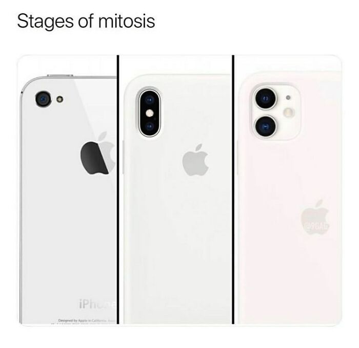 50 Brilliantly British Memes That Sum Up What Living In The UK Is Really Like 50 Brilliantly British Memes That Sum Up What Living In The UK Is Really Like