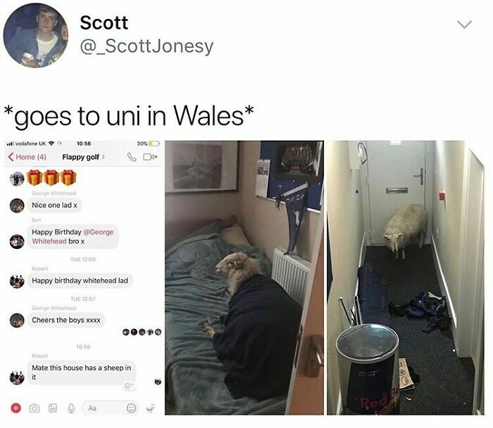 50 Brilliantly British Memes That Sum Up What Living In The UK Is Really Like 50 Brilliantly British Memes That Sum Up What Living In The UK Is Really Like