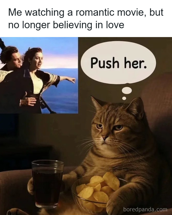 ‘Give Me Cat Memes’: 50 Funny Cat Memes To Brighten You And Your Pet’s Day ‘Give Me Cat Memes’: 50 Funny Cat Memes To Brighten You And Your Pet’s Day