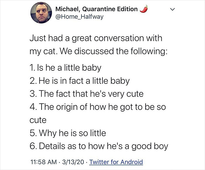 ‘Give Me Cat Memes’: 50 Funny Cat Memes To Brighten You And Your Pet’s Day ‘Give Me Cat Memes’: 50 Funny Cat Memes To Brighten You And Your Pet’s Day