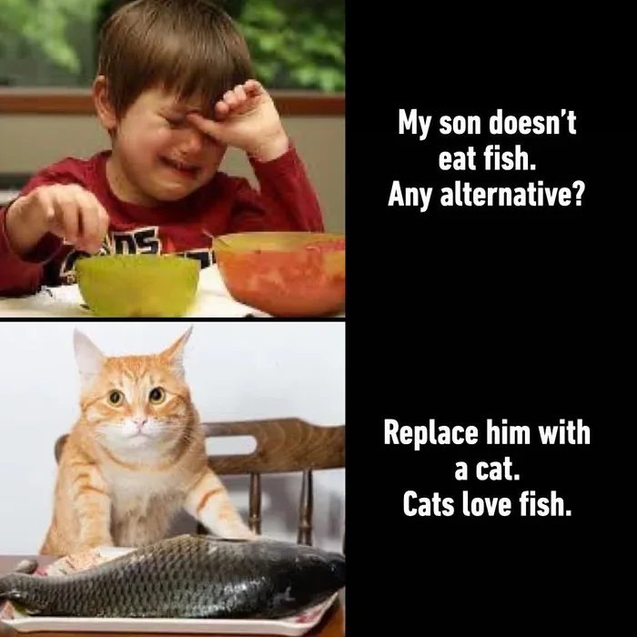 ‘Give Me Cat Memes’: 50 Funny Cat Memes To Brighten You And Your Pet’s Day ‘Give Me Cat Memes’: 50 Funny Cat Memes To Brighten You And Your Pet’s Day