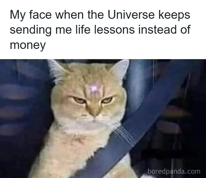 ‘Give Me Cat Memes’: 50 Funny Cat Memes To Brighten You And Your Pet’s Day ‘Give Me Cat Memes’: 50 Funny Cat Memes To Brighten You And Your Pet’s Day
