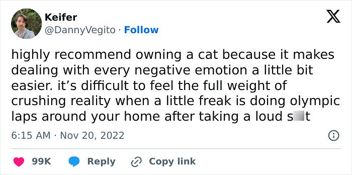 ‘Give Me Cat Memes’: 50 Funny Cat Memes To Brighten You And Your Pet’s Day ‘Give Me Cat Memes’: 50 Funny Cat Memes To Brighten You And Your Pet’s Day