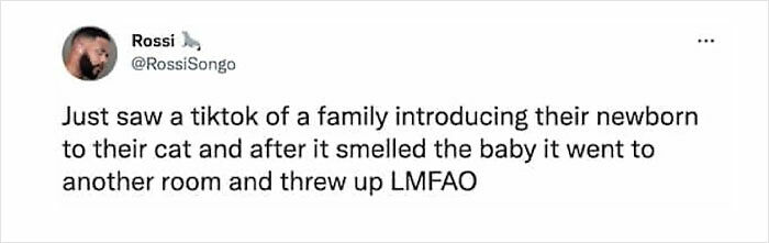 ‘Give Me Cat Memes’: 50 Funny Cat Memes To Brighten You And Your Pet’s Day ‘Give Me Cat Memes’: 50 Funny Cat Memes To Brighten You And Your Pet’s Day