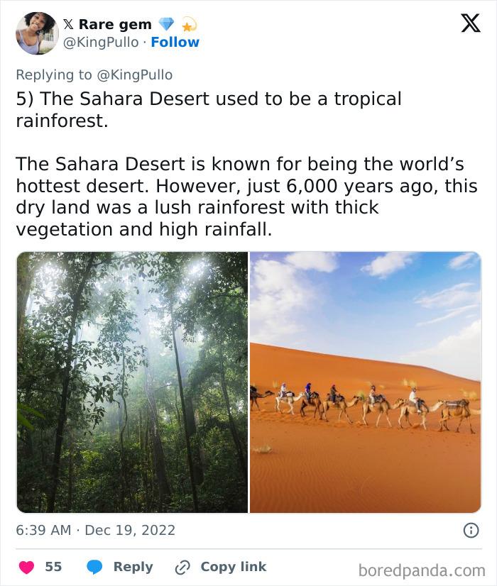 Rare Facts About People, Places, And Everyday Things That Will Make You Say “No Way!”: 17 Photos Rare Facts About People, Places, And Everyday Things That Will Make You Say “No Way!”: 17 Photos