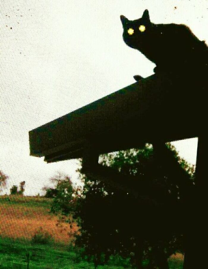 Someone Asked People To Share The Creepiest Photos They’ve Ever Taken, And 46 Deliver Someone Asked People To Share The Creepiest Photos They’ve Ever Taken, And 46 Deliver