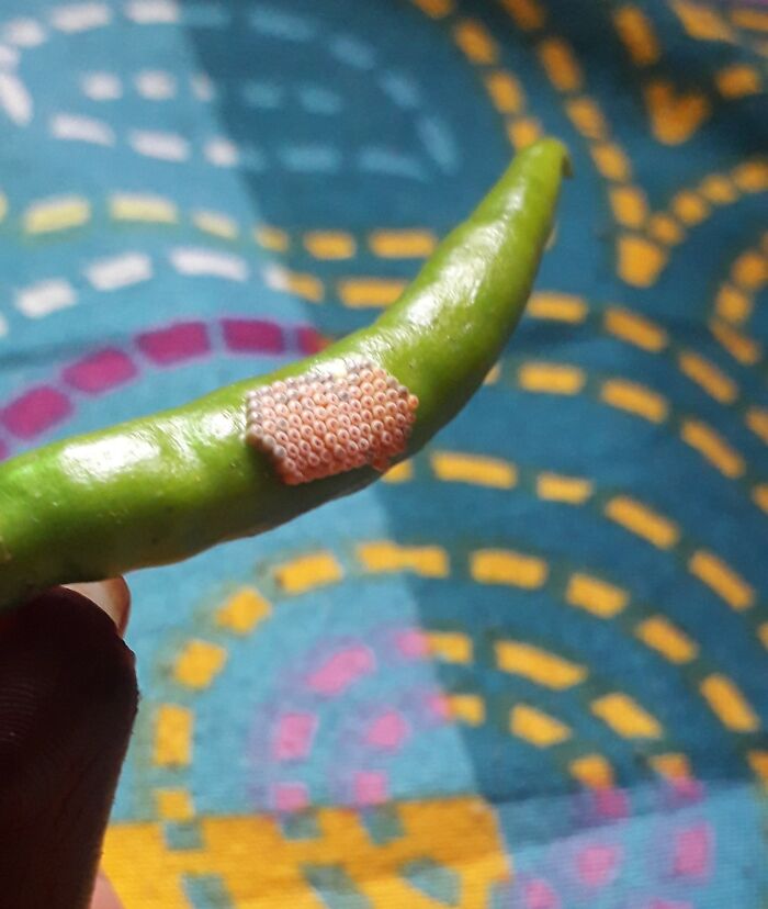 Someone Asked People To Share The Creepiest Photos They’ve Ever Taken, And 46 Deliver Someone Asked People To Share The Creepiest Photos They’ve Ever Taken, And 46 Deliver