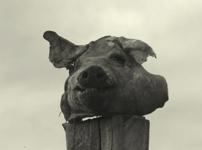 Someone Asked People To Share The Creepiest Photos They’ve Ever Taken, And 46 Deliver Someone Asked People To Share The Creepiest Photos They’ve Ever Taken, And 46 Deliver