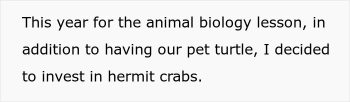 Teacher Gives Kids Hermit Crabs As Pets, Faces Backlash From Parent After One Of Them Dies Teacher Gives Kids Hermit Crabs As Pets, Faces Backlash From Parent After One Of Them Dies