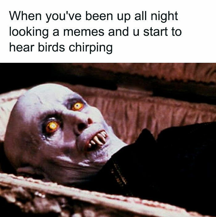 50 Hilariously Relatable Memes Inspired By The Best Horror Movies 50 Hilariously Relatable Memes Inspired By The Best Horror Movies