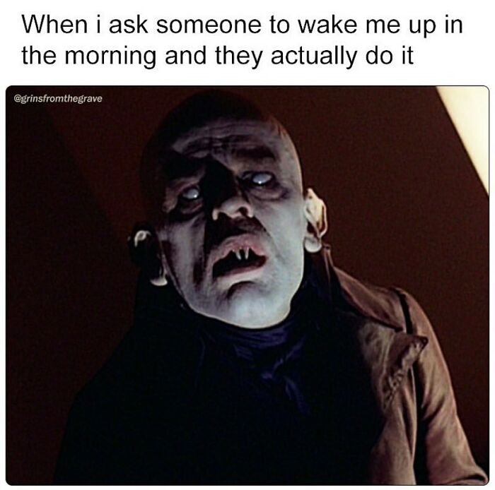 50 Hilariously Relatable Memes Inspired By The Best Horror Movies 50 Hilariously Relatable Memes Inspired By The Best Horror Movies