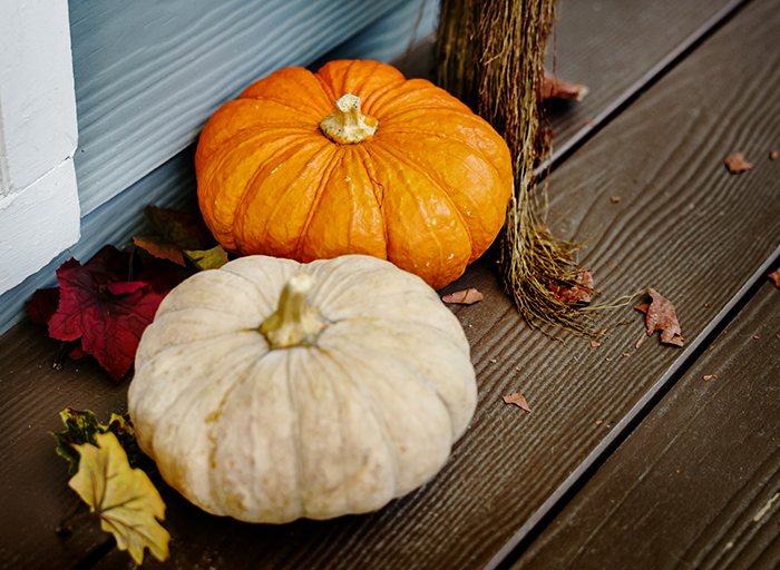 “It’s Now Been A Year”: Person Doesn’t Clean For Neighbor As They Always Do, Watches Pumpkin Decompose “It’s Now Been A Year”: Person Doesn’t Clean For Neighbor As They Always Do, Watches Pumpkin Decompose