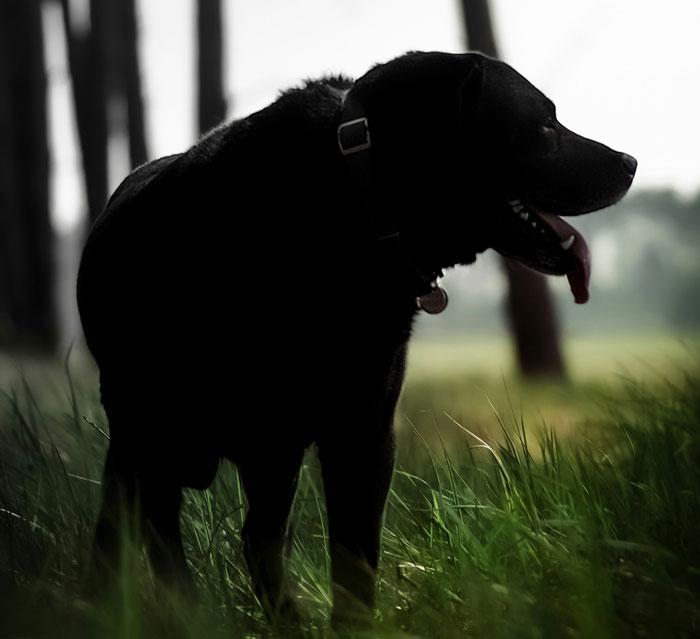 44 Freaky Coincidences That Had People Doing A Double Take 44 Freaky Coincidences That Had People Doing A Double Take