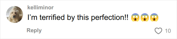 Anti-MAGA Halloween Display Goes Viral For Its Dark Humor And Satire Anti-MAGA Halloween Display Goes Viral For Its Dark Humor And Satire