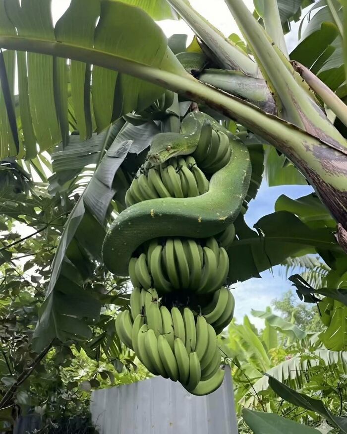 These 34 Animal Photos Are Proof That Nature Has A Great Sense Of Humor These 34 Animal Photos Are Proof That Nature Has A Great Sense Of Humor