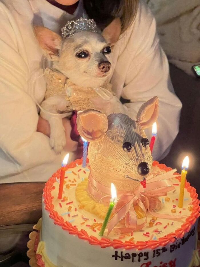 These 34 Animal Photos Are Proof That Nature Has A Great Sense Of Humor These 34 Animal Photos Are Proof That Nature Has A Great Sense Of Humor