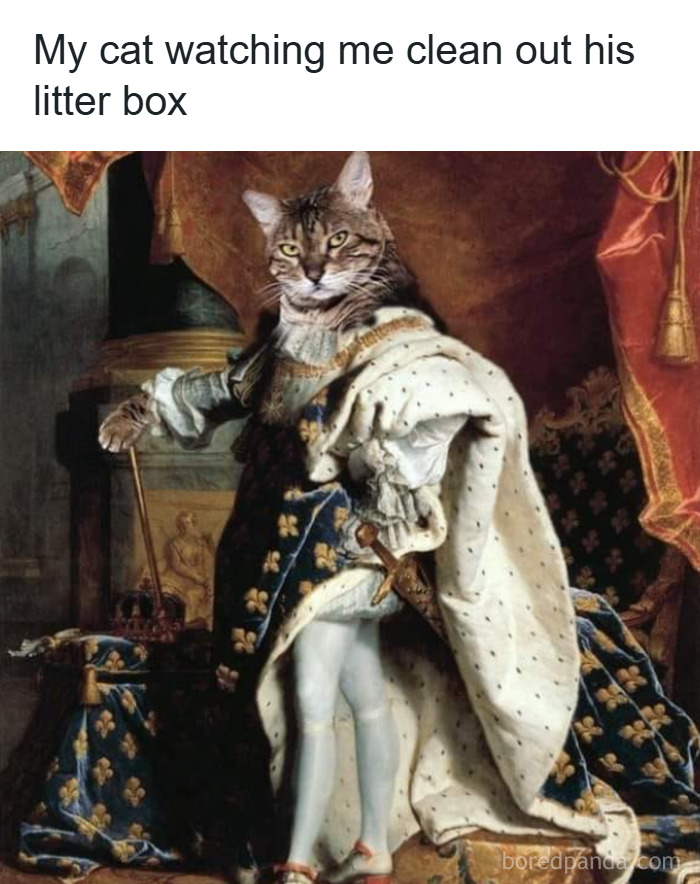 80 Classical Art Memes That Prove People Haven’t Changed In 500 Years