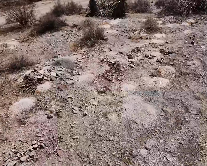Urgent Investigation Launched After Hundreds Of Piles Of Human Remains Discovered In Las Vegas Desert