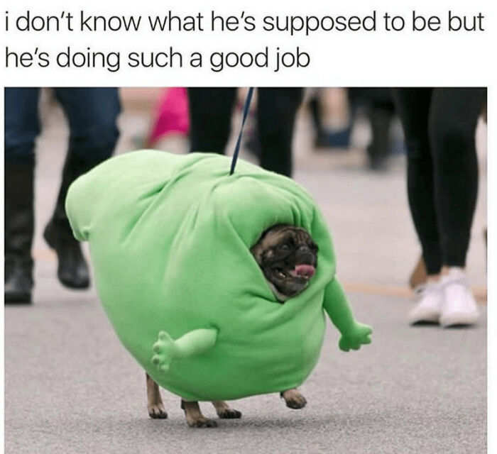 Put The Horror Flicks Away And Scroll Through These 29 Hilarious Halloween Memes