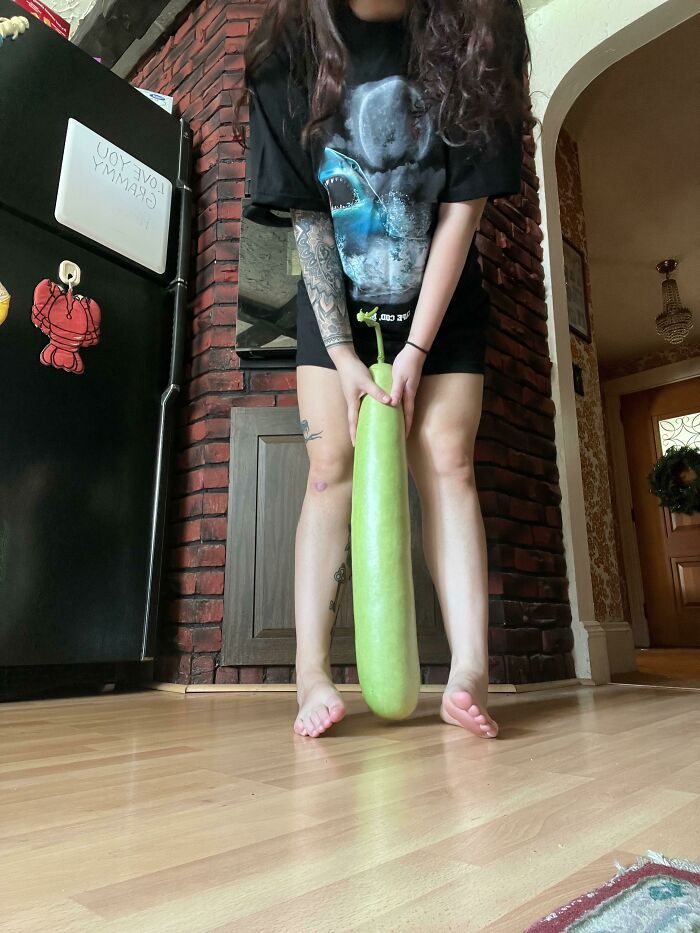 80 Of The Most Mysterious Plants People Found And Asked What They Are (New Pics) 80 Of The Most Mysterious Plants People Found And Asked What They Are (New Pics)