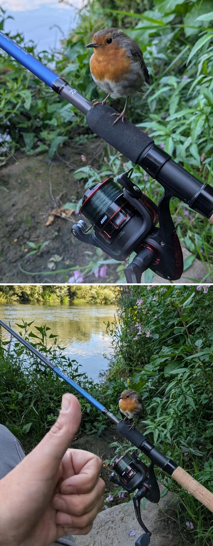&#8220;Had A Visitor In Our Garden Today&#8221;: 54 Cute Animal Pics That Deserve Your Attention