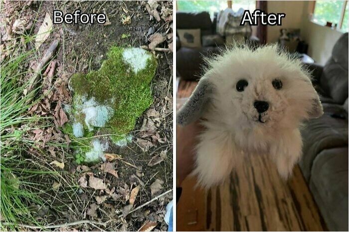 98 Of The Most Satisfying Before And After Cleaning Photos On The Internet Today (New Pics) 98 Of The Most Satisfying Before And After Cleaning Photos On The Internet Today (New Pics)