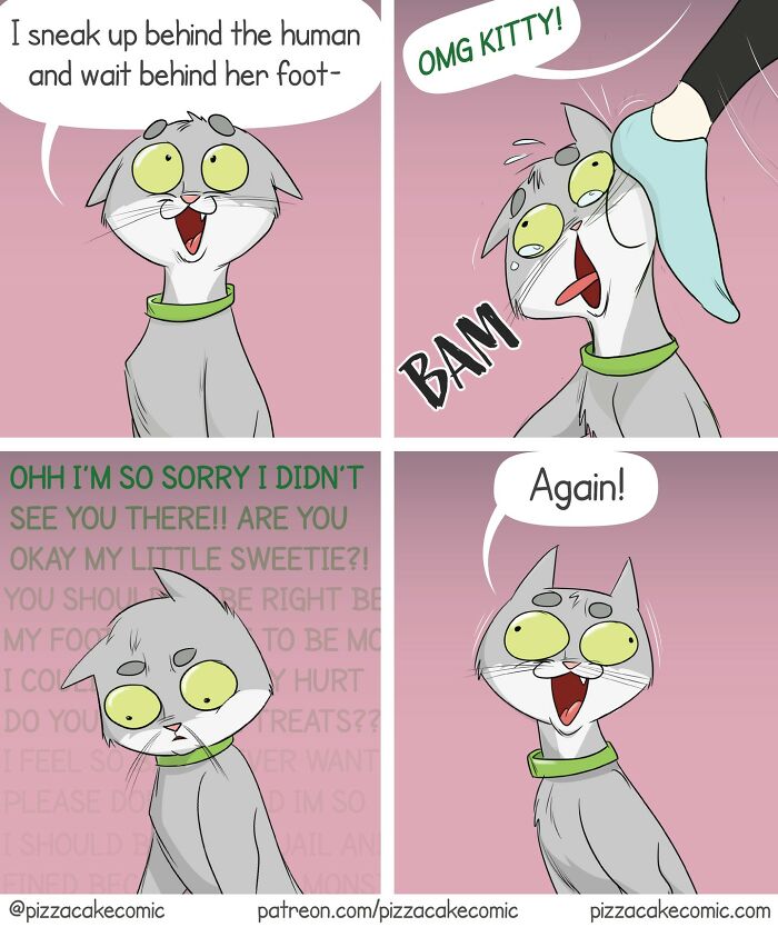 50 Funniest And Most Relatable PizzaCake Comics About Family, Cats, And Life