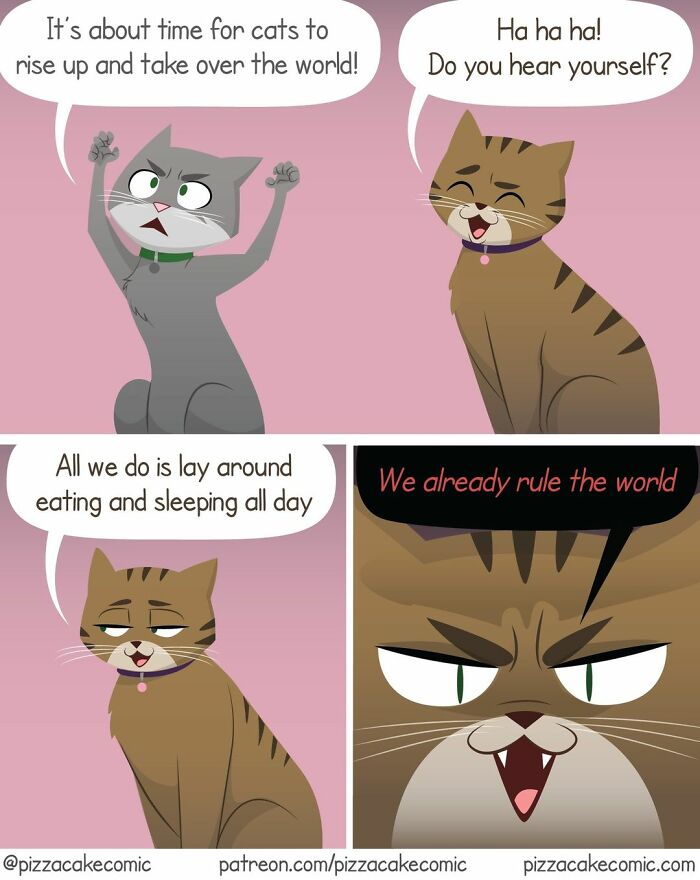 50 Funniest And Most Relatable PizzaCake Comics About Family, Cats, And Life