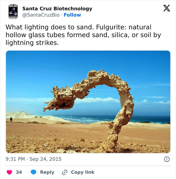 81 Interesting Pics That Answer Questions You Didn’t Know You Needed To Ask 81 Interesting Pics That Answer Questions You Didn’t Know You Needed To Ask